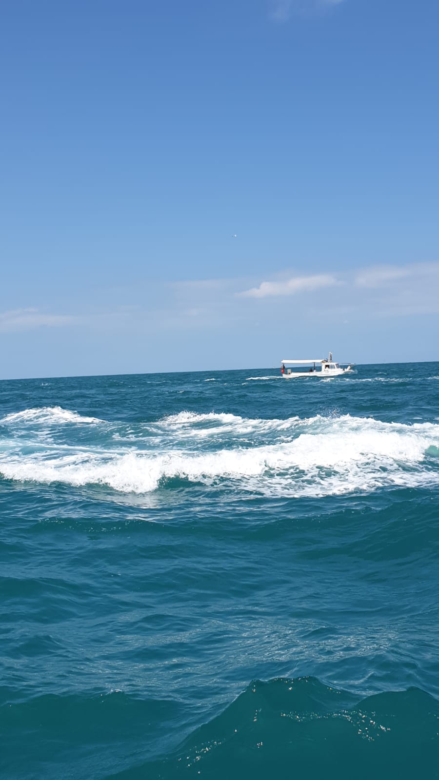 WhatsApp Image 2020-05-28 at 11.05.11 AM (1).jpeg.jpeg